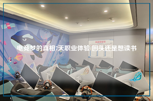 电竞梦的真相7天职业体验 回头还是想读书
